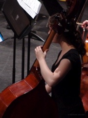 DSC05501