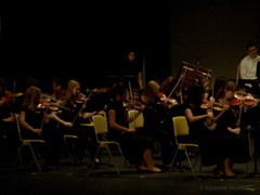 DSC05678.JPG