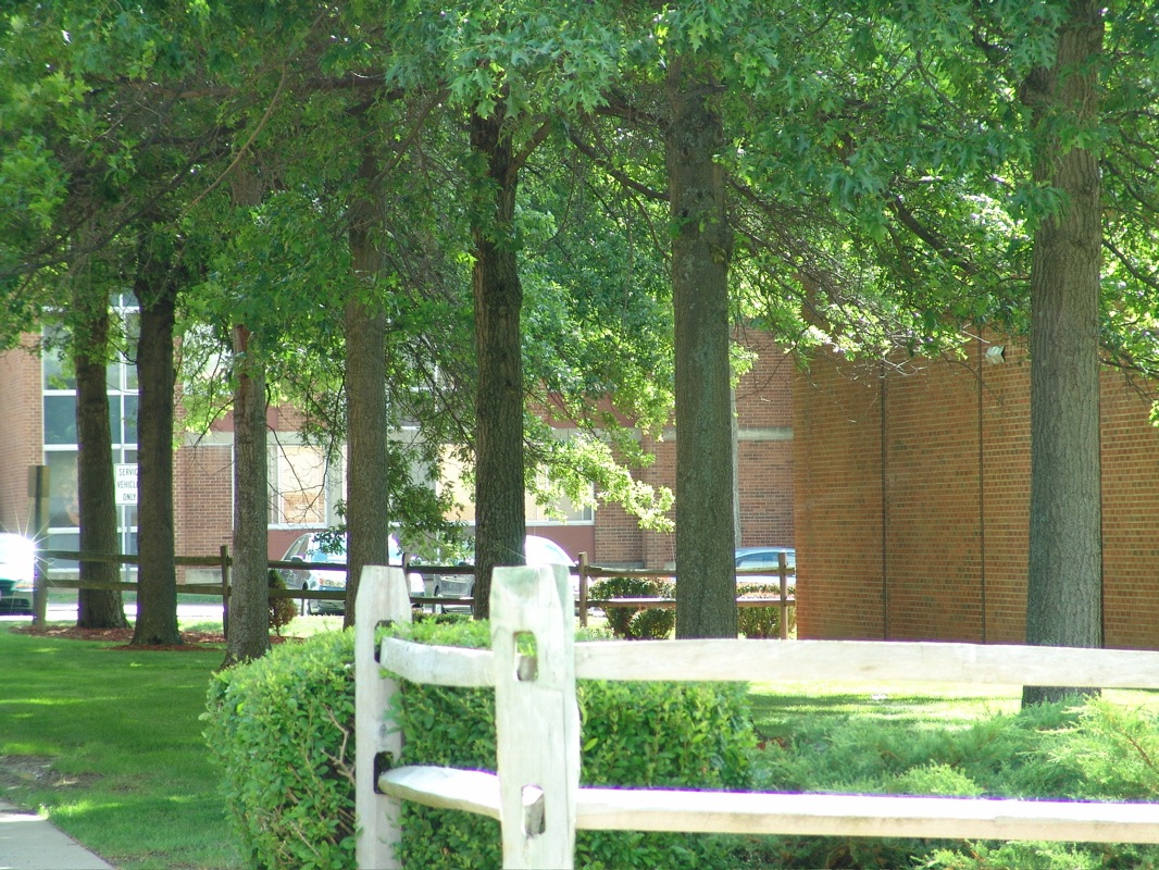 DSC05508