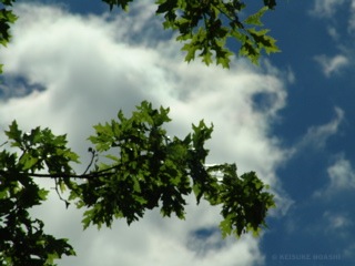 DSC05533