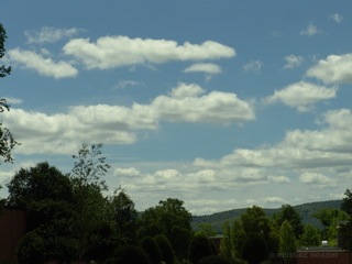 DSC05545