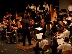 DSC06584.JPG