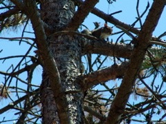 DSC05939.JPG