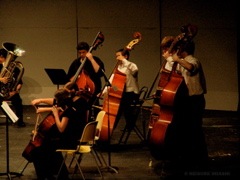 DSC07100.JPG