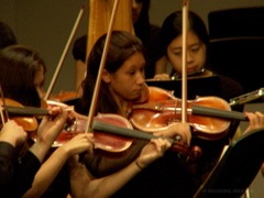DSC07106.JPG
