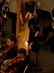 DSC07404.JPG