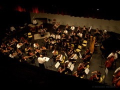 DSC07410.JPG