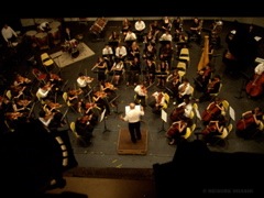 DSC07412.JPG