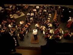 DSC07413.JPG