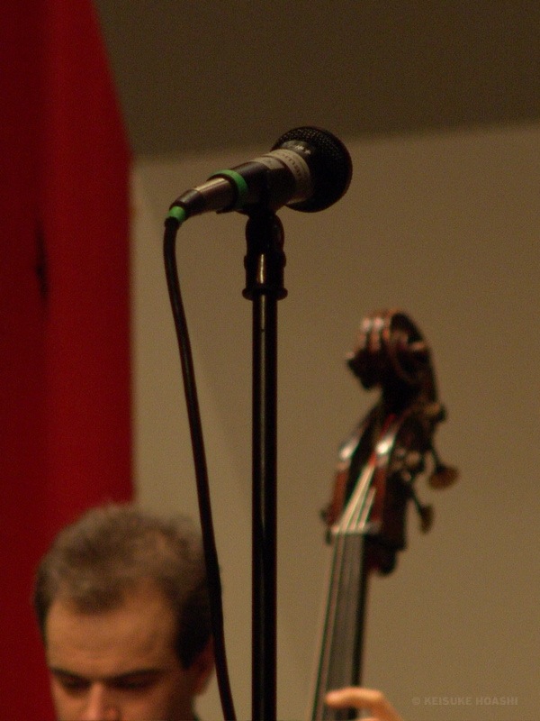 DSC07253.JPG