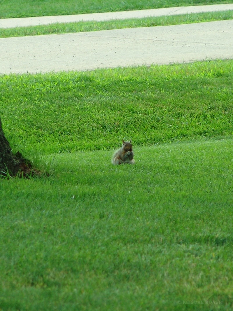 DSC06889.JPG