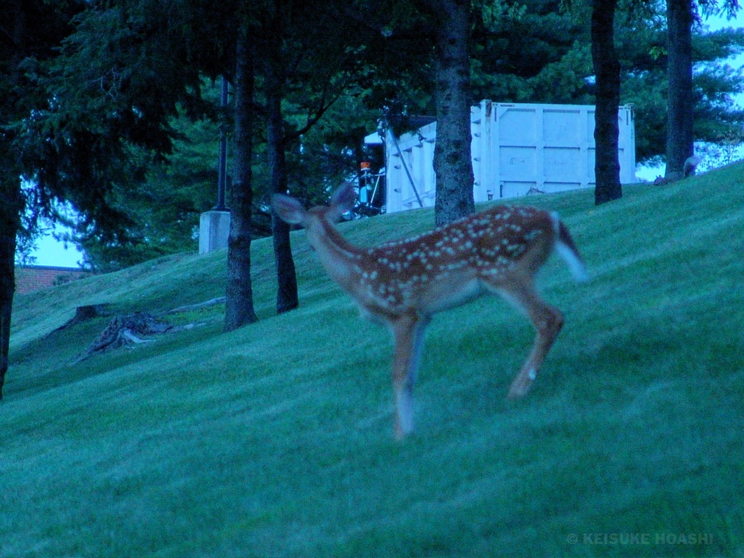 DSC06779.JPG