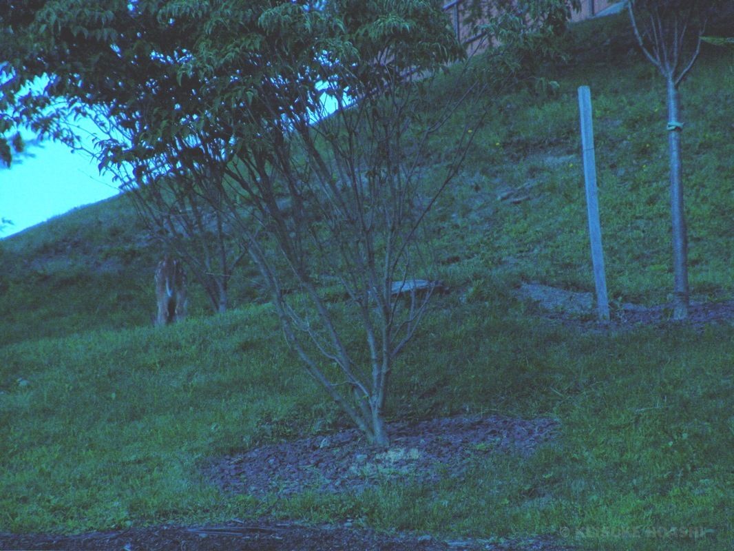 DSC06764.JPG