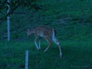 DSC06767.JPG
