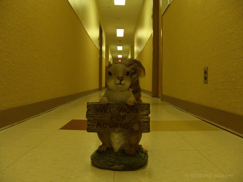 DSC07046.JPG