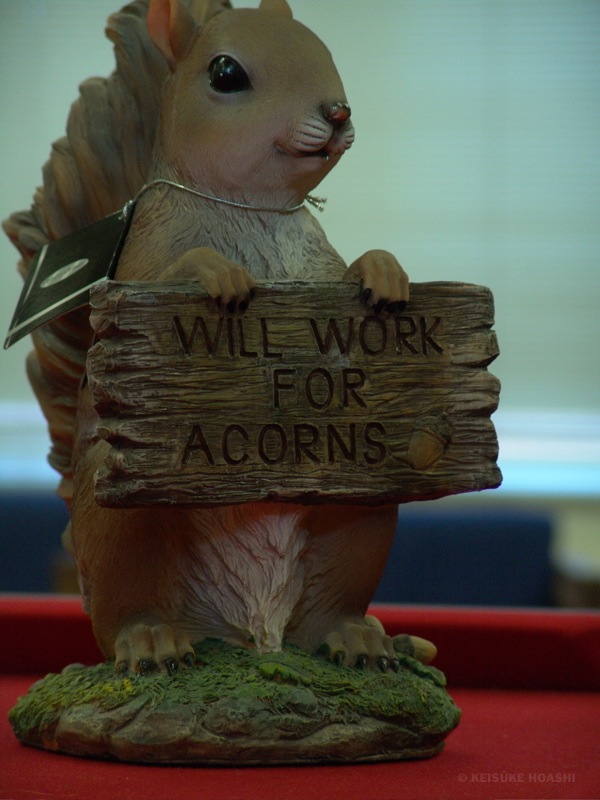 DSC07057.JPG