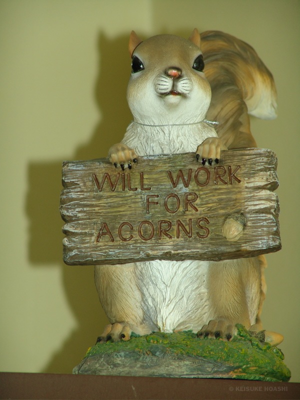 DSC07064.JPG