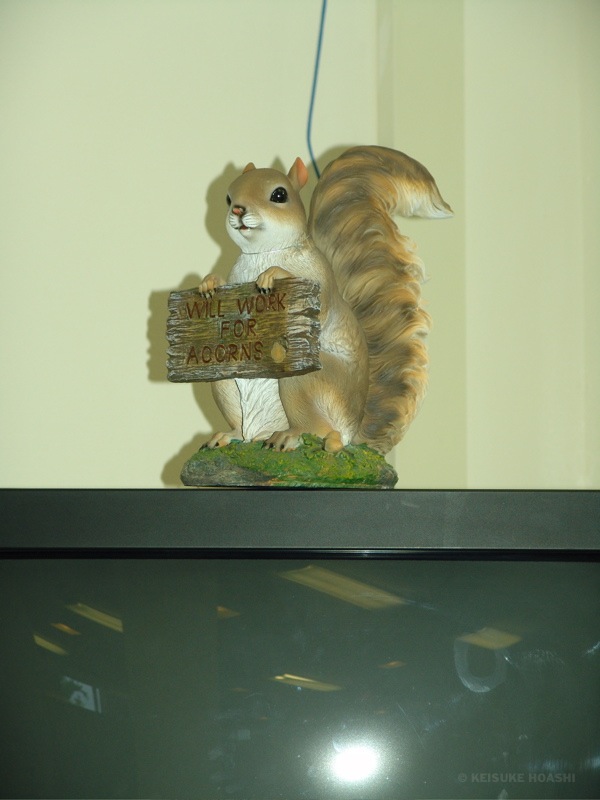 DSC07069.JPG
