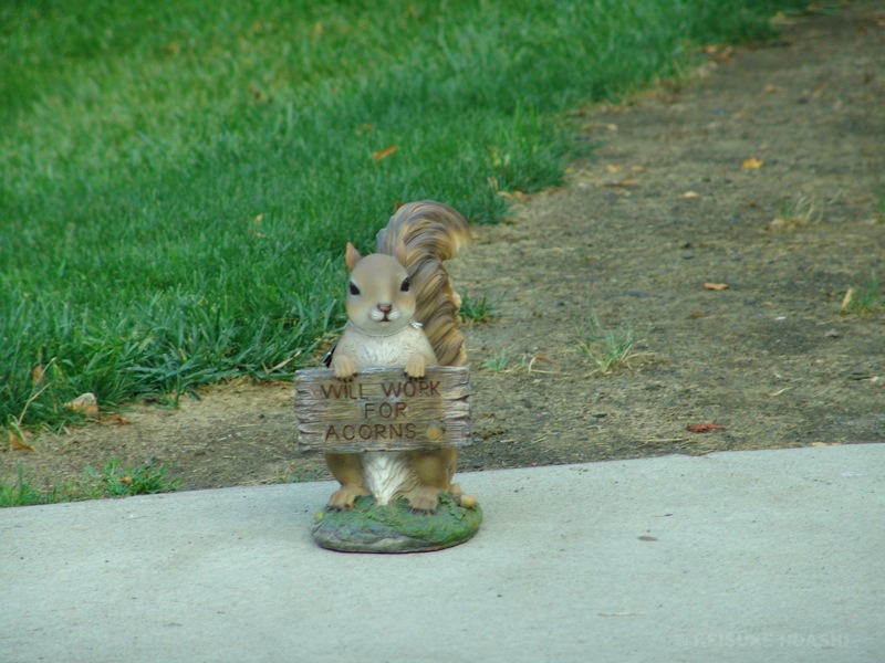 DSC07053.JPG