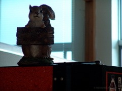DSC07060.JPG
