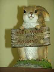 DSC07064.JPG