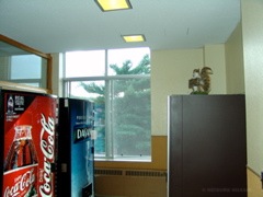 DSC07065.JPG