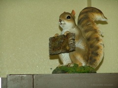 DSC07066.JPG