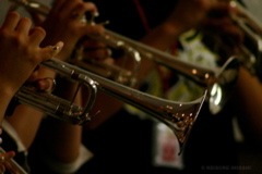 IMG_3834
