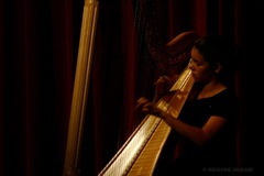 IMG_5349