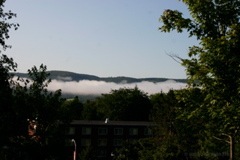 IMG_5293