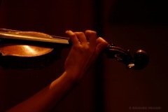 IMG_8472