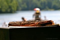 IMG_8651