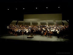 DSC08036