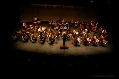 IMG_0388
