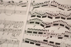 nysmf musical theatre