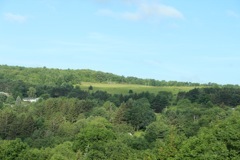 IMG_0505