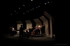 IMG_1555