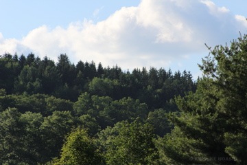 IMG_2258