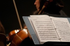 IMG_3100.JPG