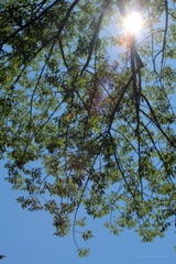 IMG_3918.JPG