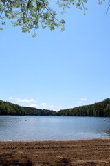 IMG_3921.JPG