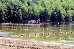 IMG_3922.JPG