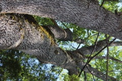 IMG_3924.JPG