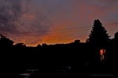 IMG_0505